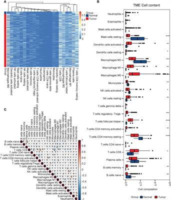 Identification of CD8+ T cell infiltration-related genes and their prognostic values in cervical cancer